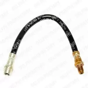 Image of Delphi LH6064 Brake Hose Rear LH or RH 308mm
