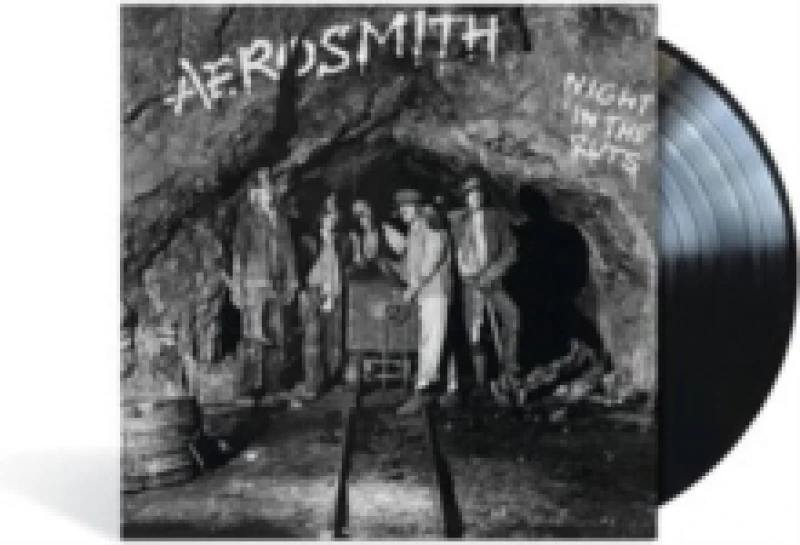 Image of Night in the Ruts Vinyl
