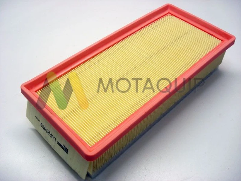 Image of MOTAQUIP Air filter MOTAQUIP LVFA1453
