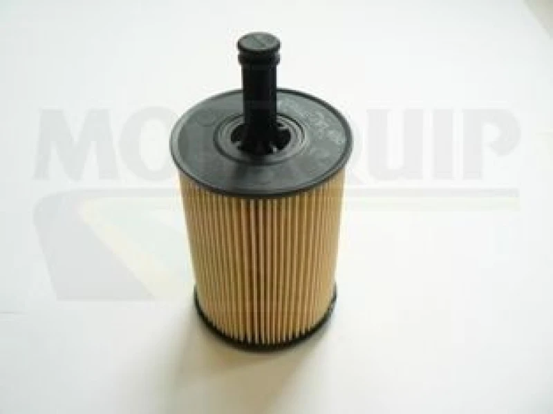 Image of MOTAQUIP Oil filter MOTAQUIP VFL486