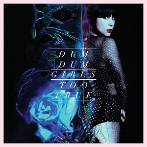 Image of Dum Dum Girls - Too True Vinyl