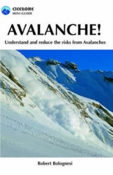 Image of Avalanche by Robert Bolognesi Paperback