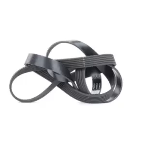 Image of SKF V-ribbed belt FORD,FIAT,PEUGEOT VKMV 6PK1670 6000611039,5750YH,6000611039 9658144480,9662806680,1383663,1434283,1723603,6C1Q6C301CB,6C1Q6C301CC