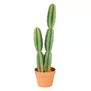 image of The Outdoor Living Company 68cm Cereus Cactus in Plastic Pot