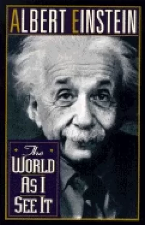 Image of world as i see it
