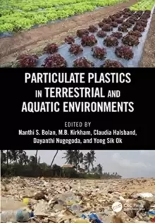 Image of Particulate Plastics in Terrestrial and Aquatic Environments