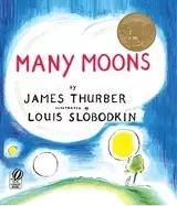 Image of many moons