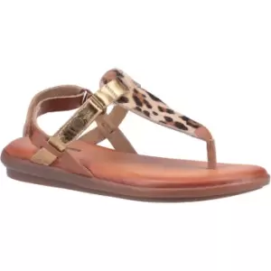 Image of Hush Puppies Womens Norah Leather Sandals UK Size 4 (EU 37)
