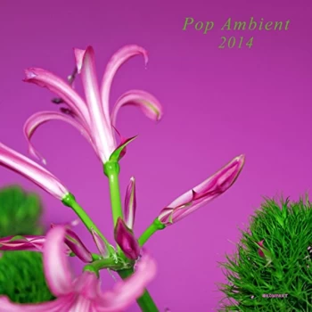 Image of V/A Electronic - Pop Ambient 2014 CD