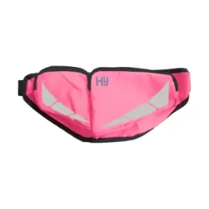 image of HyVIZ Bum Bag (One Size) (Pink)