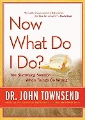 Image of now what do i do the surprising solution when things go wrong