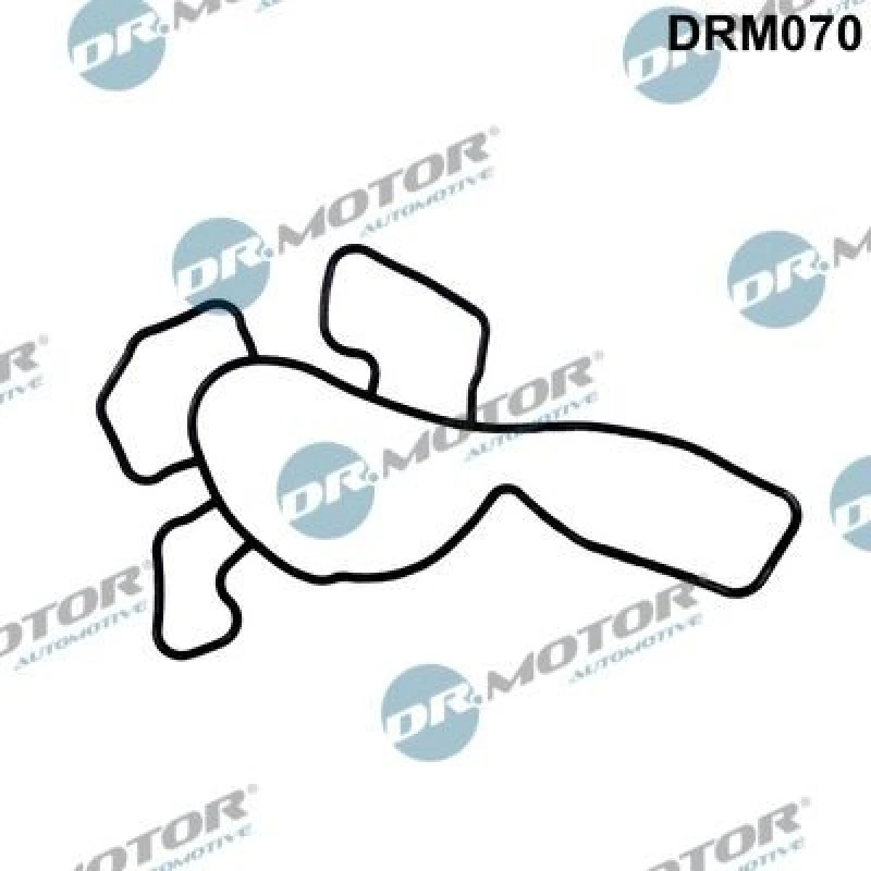 Image of DR.MOTOR AUTOMOTIVE Gasket, water pump DR.MOTOR AUTOMOTIVE DRM070