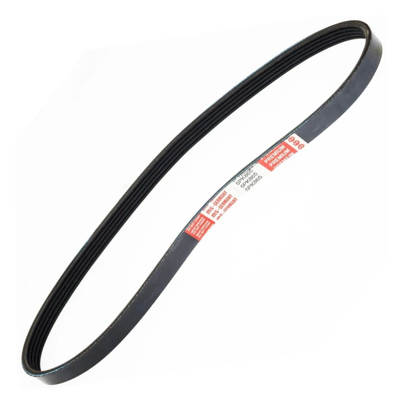 Image of MASTER-SPORT Serpentine belt MASTER-SPORT 5PK860-PCS-MS