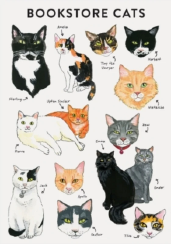 Image of Bibliophile Flexi Journal: Bookstore Cats Notebook / blank book
