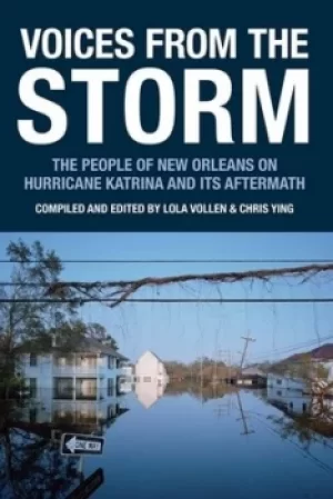 Image of Voices from the storm by Lola Vollen