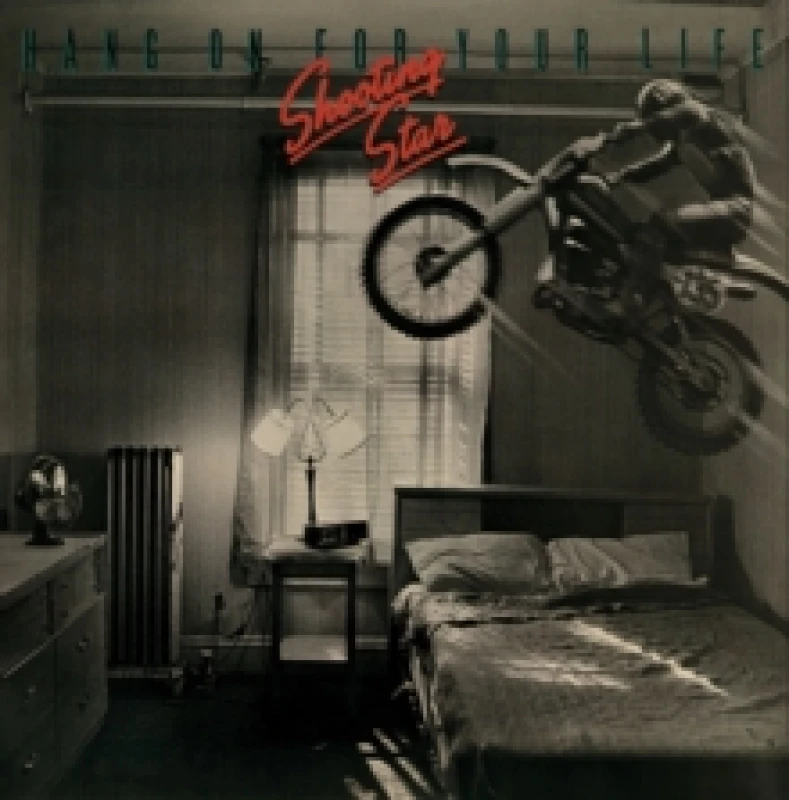 Image of Hang On for Your Life Vinyl