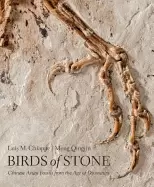 Image of birds of stone chinese avian fossils from the age of dinosaurs