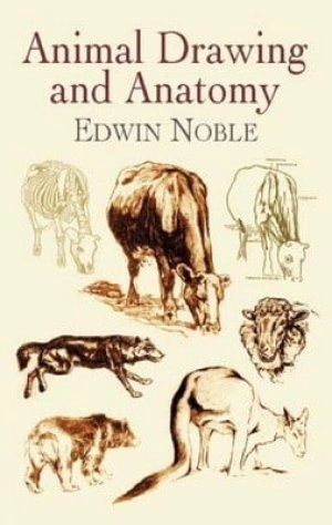 Image of Animal drawing and anatomy by Edwin Noble