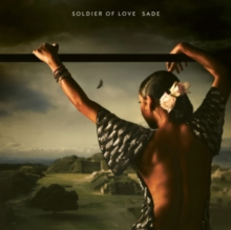 Image of Soldier of Love Vinyl