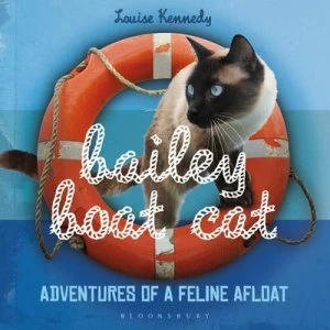 Image of Bailey boat cat by Louise Kennedy