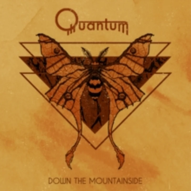 Image of Quantum Down the Mountainside (Vinyl) 12 Album