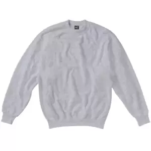 Image of SG Kids/Childrens Crew Neck Sweatshirt Top (11-12) (Light Oxford)