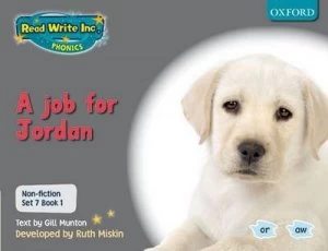Image of A Job for Jordan by Gill Munton Book