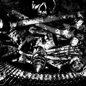 Image of Amputator Deiphago - Split Vinyl