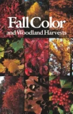 Image of fall color and woodland harvests a guide to the more colorful fall leaves a