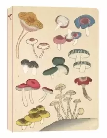 Image of Healing Mushrooms Lined Paperback Journal : Blank Notebook with Pocket