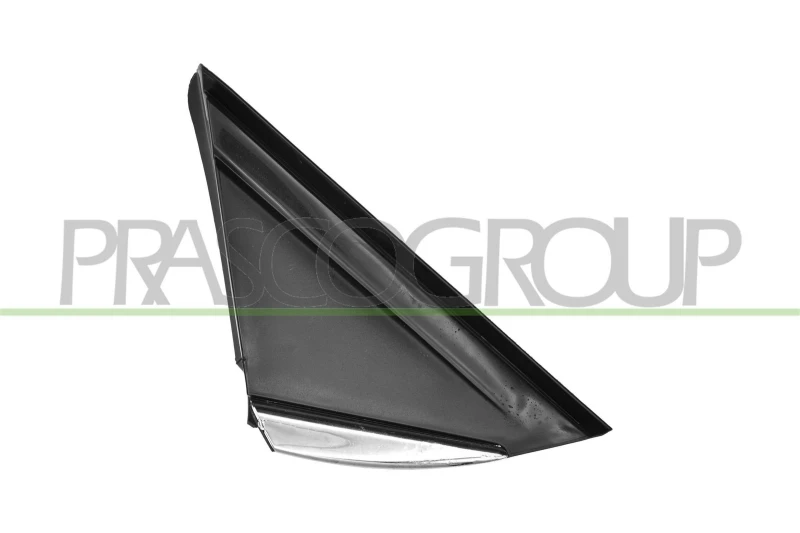 Image of PRASCO Wing mirror cover PRASCO RN4307401