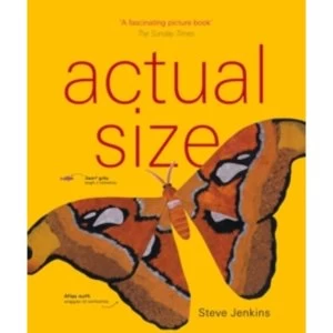 Image of Actual Size