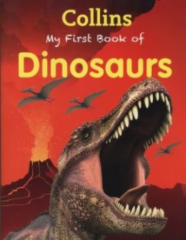 Image of My First Book of Dinosaurs Paperback