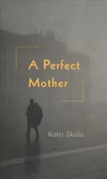 Image of A Perfect Mother