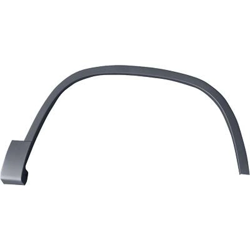 Image of Fender flare DIEDERICHS 2255352