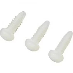 Image of KSS 538766 x L 6.3mm x 14.9mm Ecru