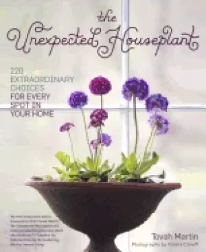 Image of unexpected houseplant 220 extraordinary choices for every spot in your home