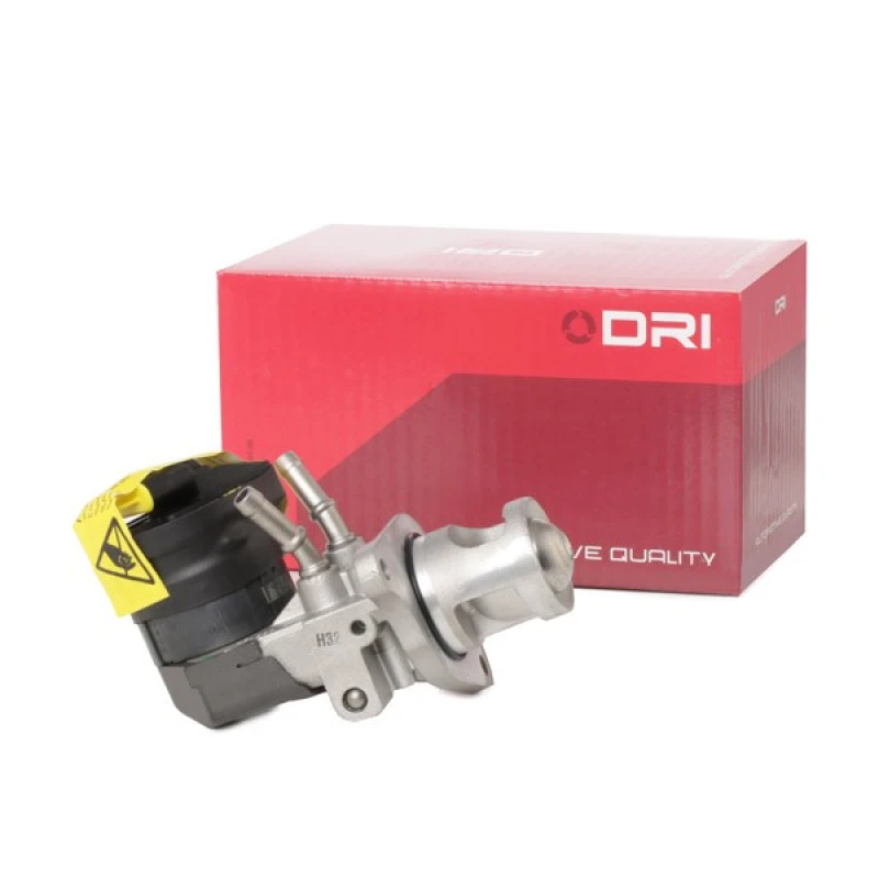 Image of DRI EGR valve DRI 717730066