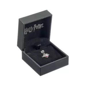 image of Official Harry Potter Sterling Silver Love Potion Slider Charm