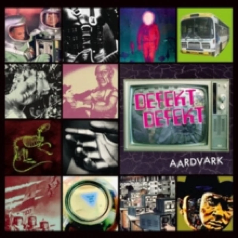 Image of Aardvark Vinyl