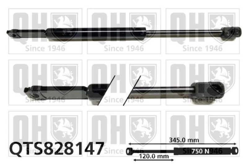 Image of QUINTON HAZELL Bonnet strut QUINTON HAZELL QTS828147