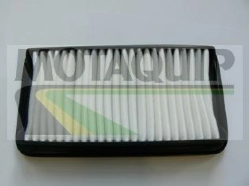 Image of MOTAQUIP Air filter MOTAQUIP VFA1178