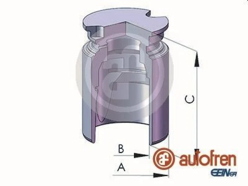 Image of AUTOFREN SEINSA Brake caliper piston AUTOFREN SEINSA D025577