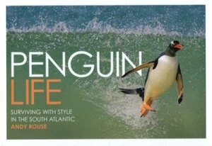 Image of Penguin Life by Andy Rouse Hardback