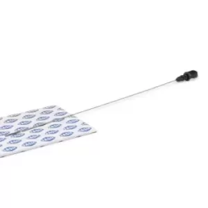 Image of SASIC Oil Dipstick PEUGEOT,CITROEN 1940006 1174C0,1174C0