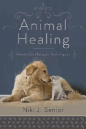 Image of animal healing hands on holistic techniques