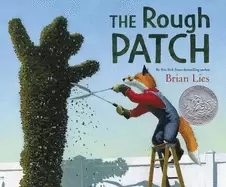 Image of rough patch