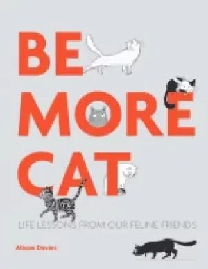 Image of be more cat life lessons from our feline friends