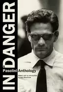 Image of in danger a pasolini anthology