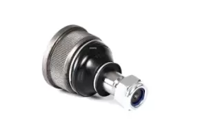 Image of RIDEX Ball joint Lower 2462S0407 Suspension ball joint,Suspension arm ball joint OPEL,REKORD C,REKORD C Coupe,COMMODORE A Coupe,COMMODORE A